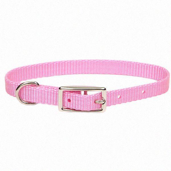 Нашийник для собак,1х30см Coastal Nylon Web КОСТАЛ НАЙЛОН ВЕБ