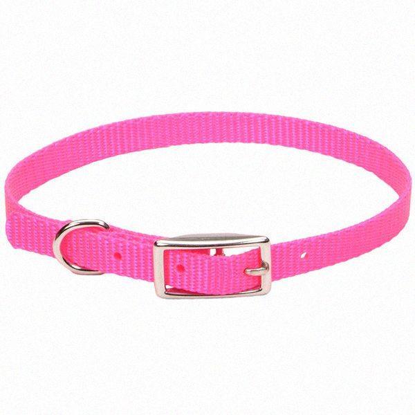 Нашийник для собак,1х30см Coastal Nylon Web КОСТАЛ НАЙЛОН ВЕБ