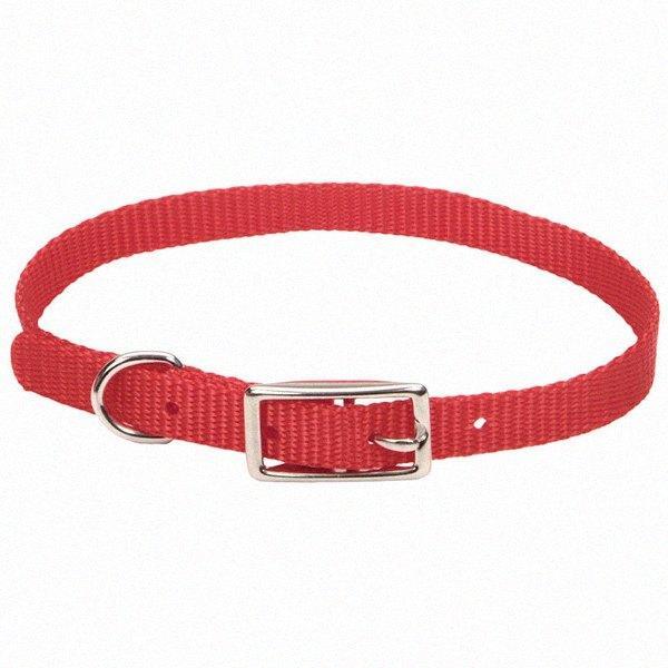 Нашийник для собак,1х30см Coastal Nylon Web КОСТАЛ НАЙЛОН ВЕБ