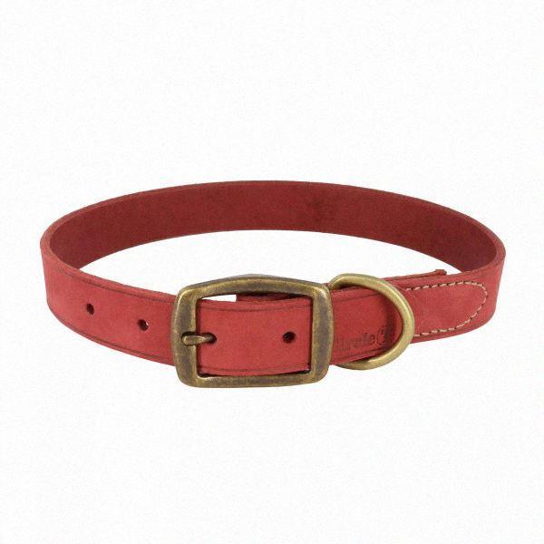 Шкіряний нашийник для собак, 2.5х50см Coastal Rustic КОСТАЛ РУСТІК