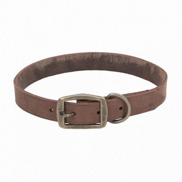 Шкіряний нашийник для собак, 2.5х60см Coastal Rustic КОСТАЛ РУСТІК