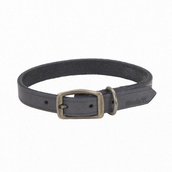 Шкіряний нашийник для собак, 2.5х50см Coastal Rustic КОСТАЛ РУСТІК