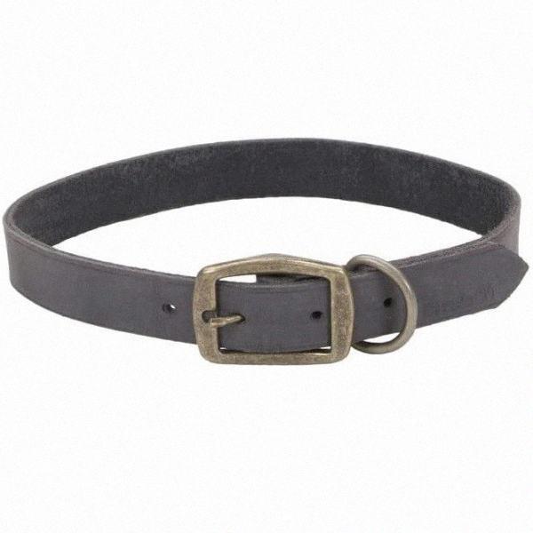 Шкіряний нашийник для собак, 2.5х55см Coastal Rustic КОСТАЛ РУСТІК