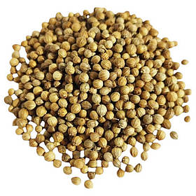 Коріандр цілий (очищення 99,9%)