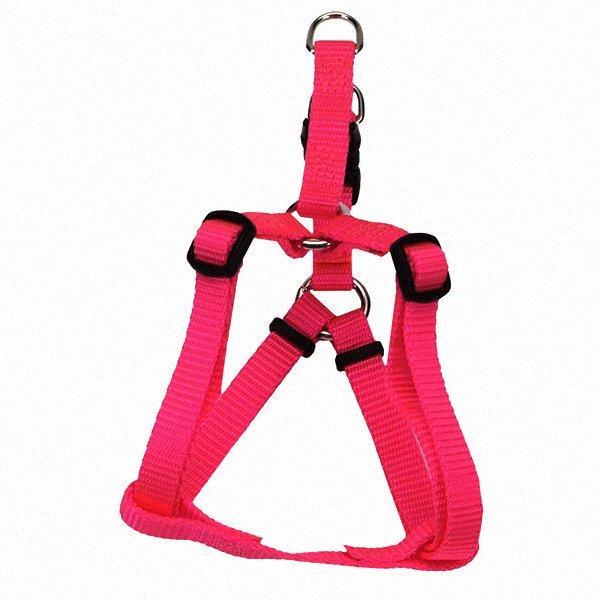 Шлея для собак, 1.6х41-61см Coastal Comfort Wrap КОСТАЛ КОМФОРТ