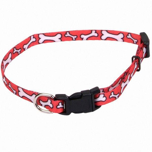 Нашийник для собак, 0.8х15-20см Coastal Li`l Pals КОСТАЛ ЛІТТЛ ПЕЛС
