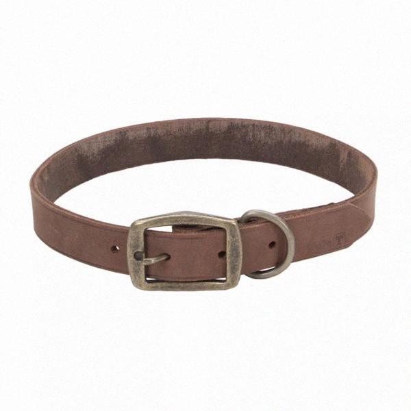 Шкіряний нашийник для собак, 2х45см Coastal Rustic КОСТАЛ РУСТІК