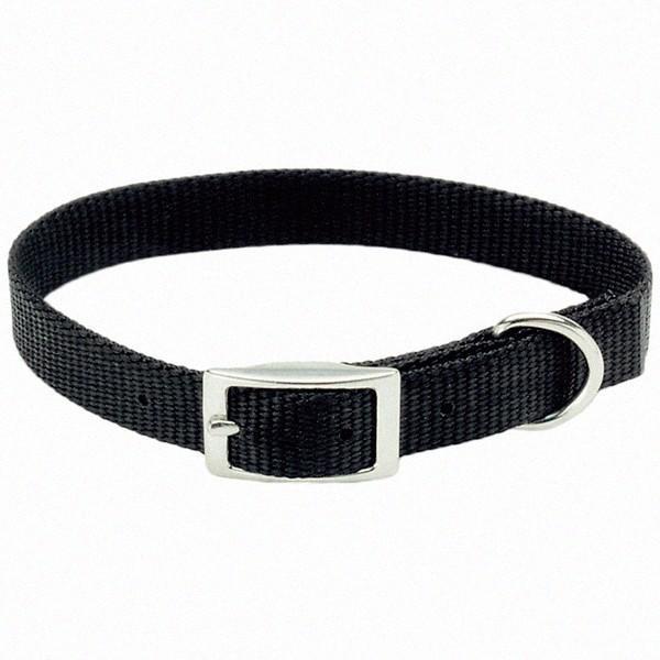 Нашийник для собак, 1х25см Coastal Nylon Web КОСТАЛ НАЙЛОН ВЕБ