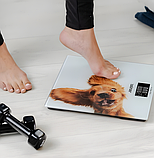 Ваги підлогові Zelmer ZBS1010, фото 3