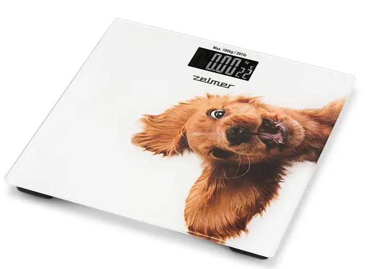 Ваги підлогові Zelmer ZBS1010, фото 1