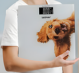 Ваги підлогові Zelmer ZBS1010, фото 4