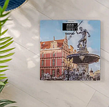 Ваги підлогові Zelmer ZBS1011, фото 3