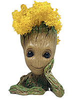 Кашпо з жовтим стабілізованим мохом Грут G1