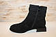 Черевики жіночі чорні замшеві демісезонні Д837, фото 2