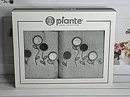 Набір махрових рушників 50*90 і 70*140 TM Piante Home Туреччина ramaska mint колір зелений