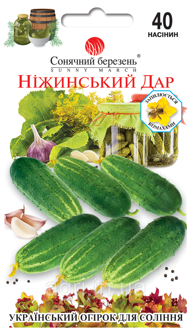 Ніжинський огірок дар, 40шт