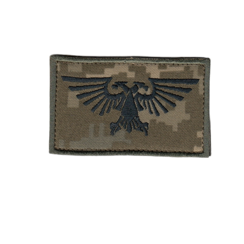 Шеврон військовий / армійський, АКВИЛА, на липучці, ЗСУ. 5 см * 8см