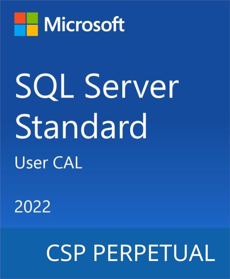 Microsoft SQL Server 2022 - 1 User CAL Techno-Torba Гарант Якості