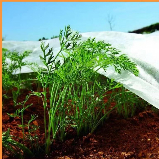 нетканый материал в рулонах