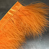 Перо на стрічці 6-8 см (індичка), колір помаранчевий, відрізок 25 см, Помаранчевий, фото 2