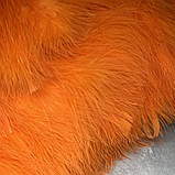Перо на стрічці 6-8 см (індичка), колір помаранчевий, відрізок 25 см, Помаранчевий, фото 3
