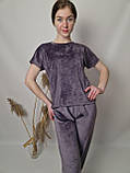 Жіночий велюровий піжамний комплект футболка шорти штани кольору мусон, фото 4