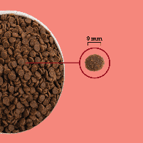 Сухий корм для домашніх котів ACANA Highest Protein, Indoor Cat Recipe  1,8 кг / Корм для котів, фото 7