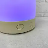 Ліхтар-лампа кемпінговий RIAS CH-23061-A підвісний із сонячною панеллю White (7_01508), фото 9