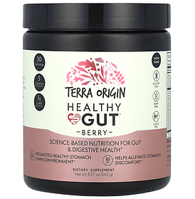 Terra Origin Healthy Gut добавка для нормалізації функцій шлунково-кишкового тракту смак ягід 243 г