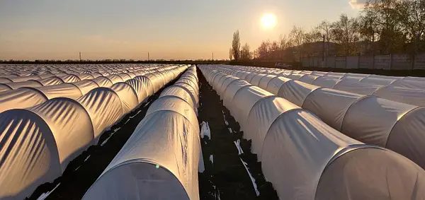 Бухта композитної арматури 6 мм 200 метрів Kings