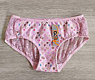 Жіночі труси шорти Дрім із сіткою на попі Польща, фото 4