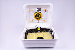 Інкубатор автоматичний Теплуша Greeny 88 ТА Теновий