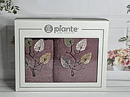 Набір махрових рушників 50*90 і 70*140 TM Piante Home Туреччина Listik murdum колір бузкоовий