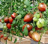 Насіння томату Фіолетове серце 15 нас, фото 2