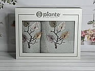 Набір махрових рушників 50*90 і 70*140 TM Piante Home Туреччина Listik mint колір зелений