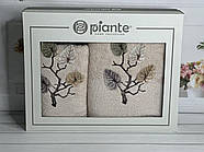 Набір махрових рушників 50*90 і 70*140 TM Piante Home Туреччина Listik bej колір бежевий