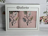 Набір махрових рушників 50*90 і 70*140 TM Piante Home Туреччина Listik persik колір персиковий