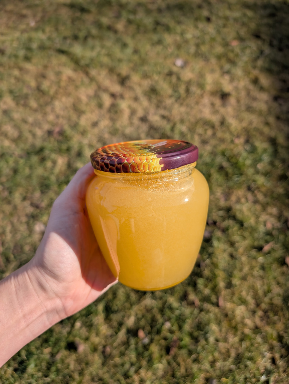 Мед липовий 550мл, фото 1