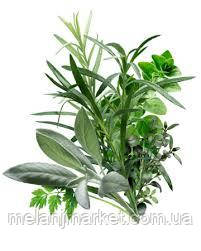 Смакоароматична добавка  Прованські трави, фото 1