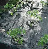 Агротканина 100 г/м2 3.4х10 метрів Shadow для мульчування ґрунту на метраж, фото 9
