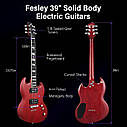 Електрогітара Fesley FSG350 BR (комплект), фото 3