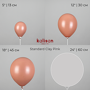 KALISAN-КЛ 12" 62 Пастель Рожева Глина | Standard Clay Pink, фото 4