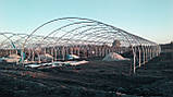 Теплиця Округла 8x10 розміром 8х10х3,5 м, фото 5