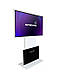 Інтерактивний кіоск INTBOARD INFOCOM RT 55” (Capacitive Touch), фото 3