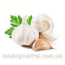 Смакоароматична добавка Часник, фото 1