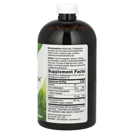Здоров'я Рідкий хлорофіл Nature's Way Chlorofresh 132 мг 473,2 мл США смак М`ята, фото 3