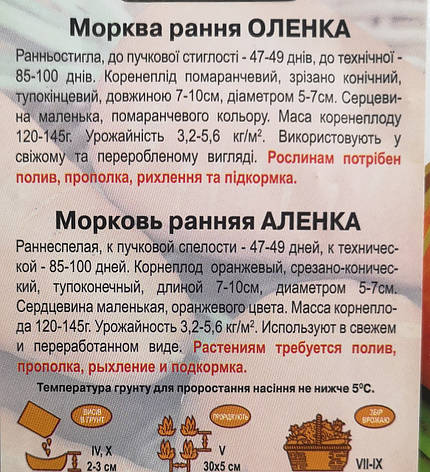 Морква ОЛЕНКА 2г., фото 3