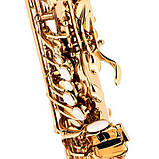 Саксофон Thomann ASBGM Custom Line Alto Sax, фото 6