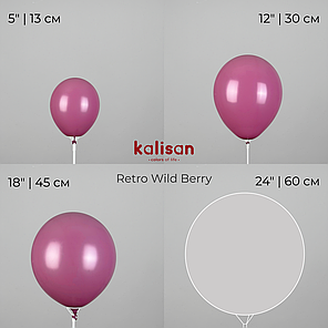 KALISAN-КЛ 12" 15 Ретро Дика Ягода | Retro Wild Berry, фото 4