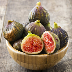 Інжир "Магарацький" живцюватий (самоплідний сорт)